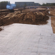 【天然钠基膨润土防水毯 十二年专业生产厂家 规格齐全 优质膨润土防水毯规格 路通建材】 -