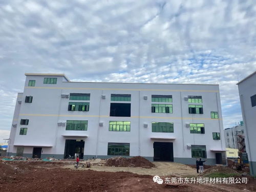 聚力共赢 再筑新章丨东升地坪年产10万吨环保建筑涂料化工厂即将投产